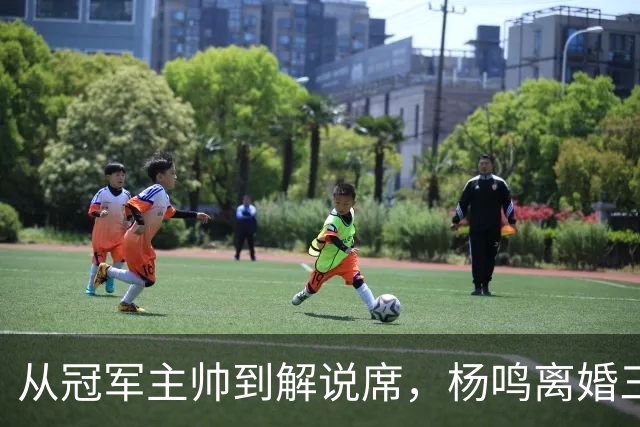 从冠军主帅到解说席，杨鸣离婚三年后活成了这样