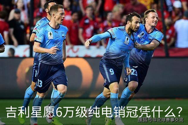 吉利星愿6万级纯电销冠凭什么？第二代海鸥今天上市能撼动它吗？