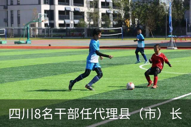 四川8名干部任代理县（市）长