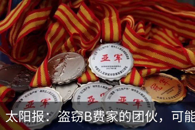 太阳报：盗窃B费家的团伙，可能是利用装修工晒出的照片踩点