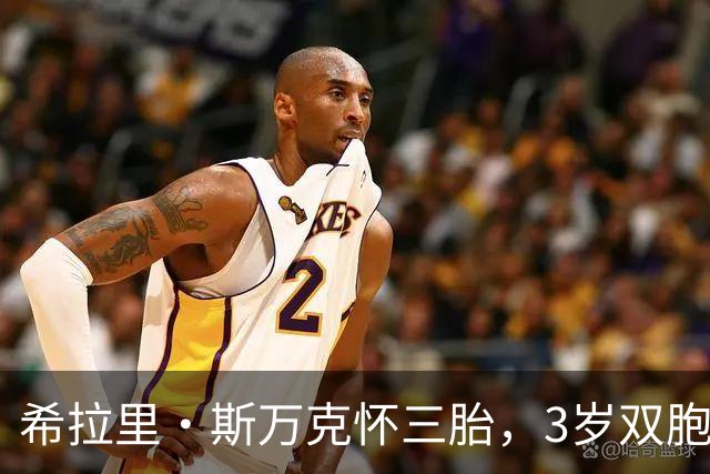 希拉里·斯万克怀三胎，3岁双胞胎每天追问圣诞到了吗
