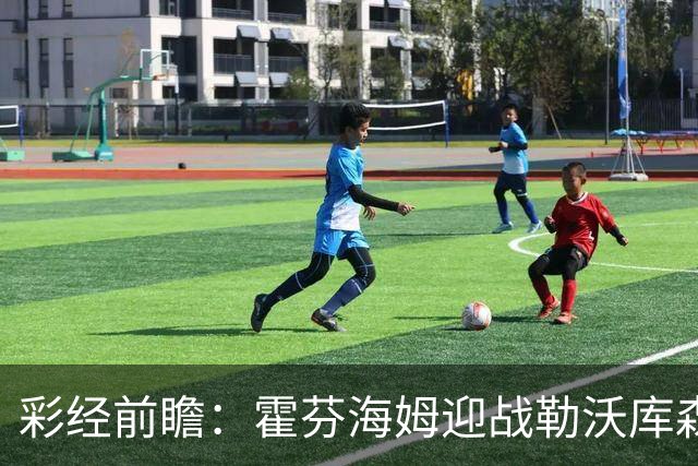 彩经前瞻：霍芬海姆迎战勒沃库森，客队攻势占优，看好药厂胜