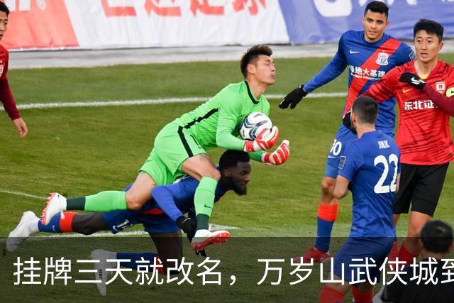 挂牌三天就改名，万岁山武侠城到底要什么？