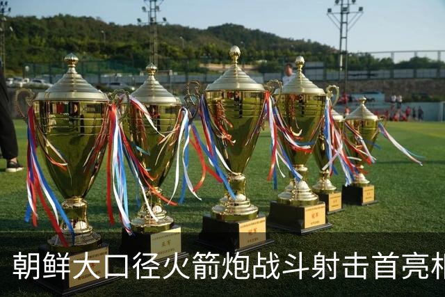 朝鲜大口径火箭炮战斗射击首亮相，金正恩出席