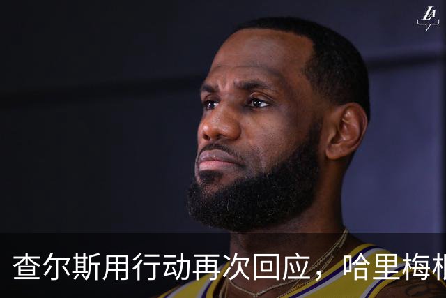 查尔斯用行动再次回应，哈里梅根进退两难，半进半出计划居然落空
