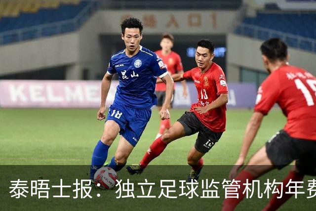 泰晤士报：独立足球监管机构年费2000万镑，英超出大头