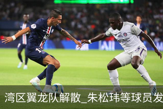 湾区翼龙队解散 朱松玮等球员发布声明维权