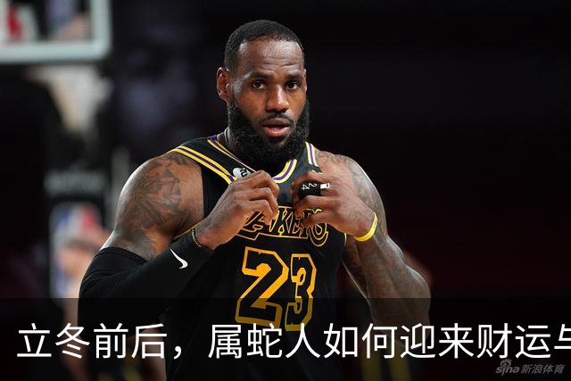 立冬前后，属蛇人如何迎来财运与人脉的双重惊喜？
