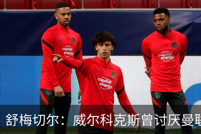 舒梅切尔：威尔科克斯曾讨厌曼联，为何如今却在曼联任职