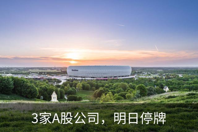 3家A股公司，明日停牌