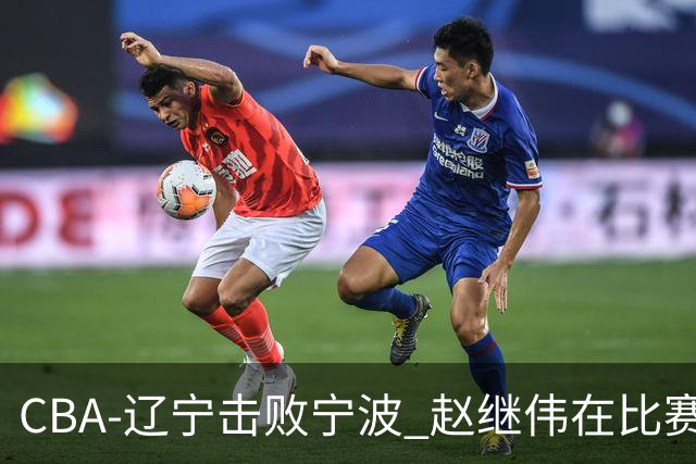 CBA-辽宁击败宁波 赵继伟在比赛中
