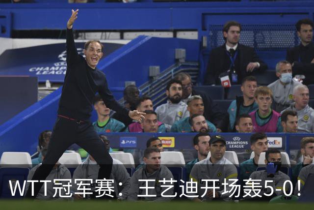 WTT冠军赛：王艺迪开场轰5-0！32岁老将兵败如山倒，输7分0-2落后